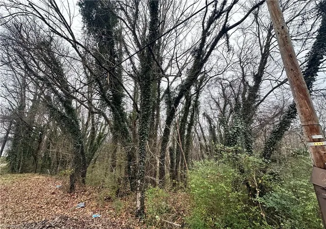 Photo 3 of Land for sale at 00 Short Morgan St, Eden, NC 27288 | MLS# 1227072 | Listing updated on 2026-07-13