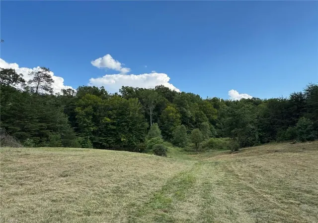 1st image of 0 Massey Creek Rd, Madison, NC 27025 | MLS# 1230374