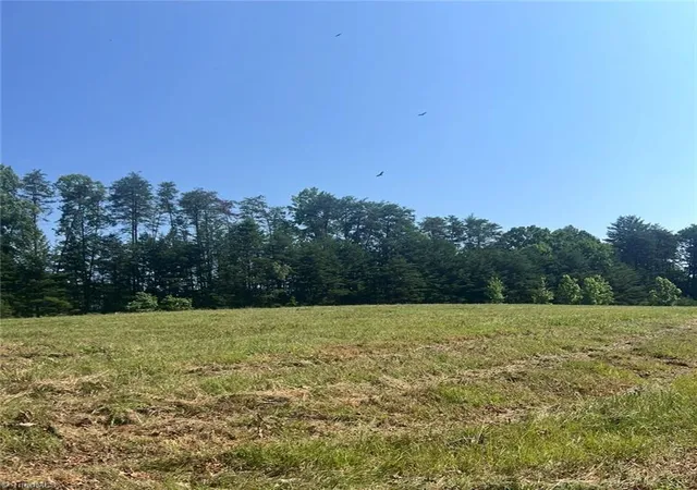 2nd image of 0 Massey Creek Rd, Madison, NC 27025 | MLS# 1230374