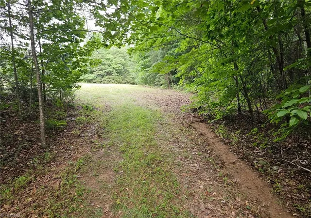 3rd image of 0 Massey Creek Rd, Madison, NC 27025 | MLS# 1230374