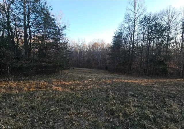 4th image of 0 Massey Creek Rd, Madison, NC 27025 | MLS# 1230374