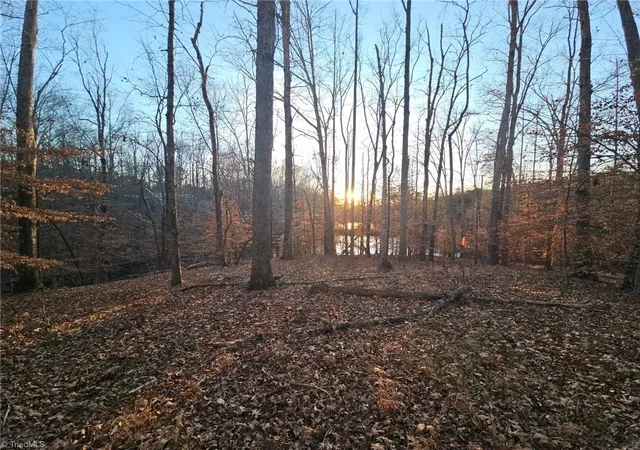 5th image of 0 Massey Creek Rd, Madison, NC 27025 | MLS# 1230374