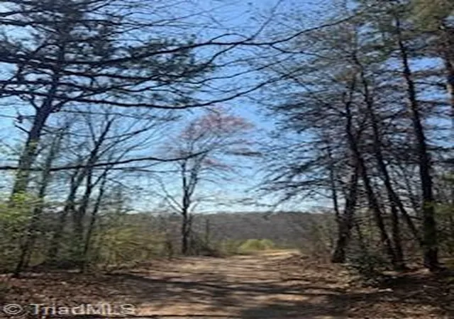 Homes for sale in Granite Falls, NC | 4675 Hickory Nut Ridge Rd, Granite Falls, NC 28630 | MLS# 1214022