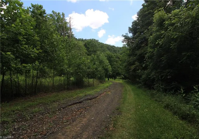 Photo 12 of Land for sale at Tbd Spencer Branch Rd, Lansing, NC 28643 | MLS# 1228413 | Listing updated on 2026-08-29