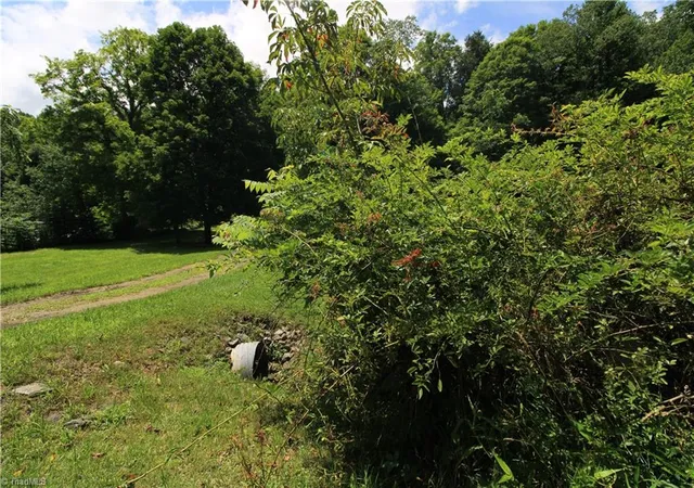 Photo 4 of Land for sale at Tbd Spencer Branch Rd, Lansing, NC 28643 | MLS# 1228413 | Listing updated on 2026-08-29