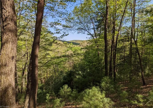 Homes for sale in Mc Grady, NC | Tbd Sutters Ridge Rd #Lot 94, Mc Grady, NC 28649 | MLS# 1214382