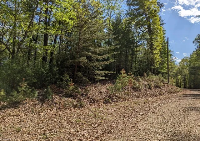 Homes for sale in Mc Grady, NC | Tbd Sutters Ridge Rd #Lot 94, Mc Grady, NC 28649 | MLS# 1214382
