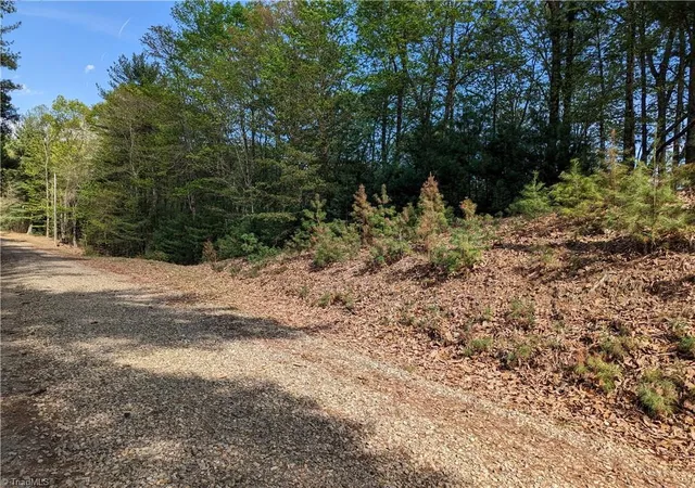 Homes for sale in Mc Grady, NC | Tbd Sutters Ridge Rd #Lot 94, Mc Grady, NC 28649 | MLS# 1214382