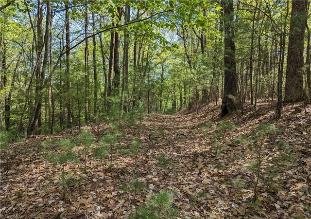 Homes for sale in Mc Grady, NC | Tbd Sutters Ridge Rd #Lot 94, Mc Grady, NC 28649 | MLS# 1214382