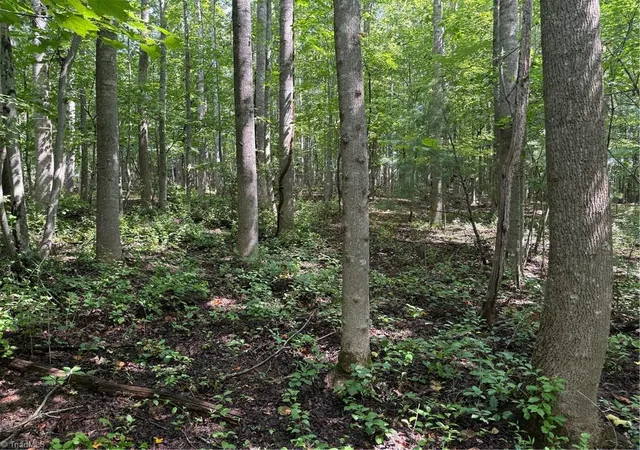 Homes for sale in Traphill, NC | Lot 22 Austin Traphill Rd, Traphill, NC 28685 | MLS# 1209575