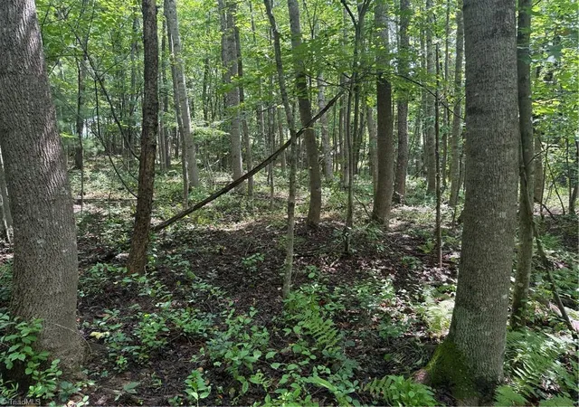 Homes for sale in Traphill, NC | Lot 22 Austin Traphill Rd, Traphill, NC 28685 | MLS# 1209575