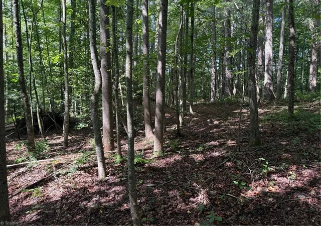 Homes for sale in Traphill, NC | Lot 22 Austin Traphill Rd, Traphill, NC 28685 | MLS# 1209575