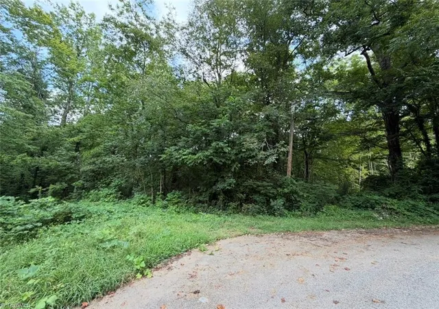Land for sale at 0 Aberdeen Dr, Lexington, NC 27292 | MLS# 1233892