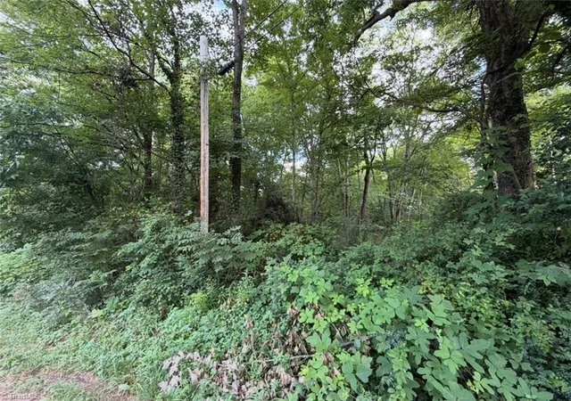 Photo 1 of Land for sale at 0 Aberdeen Dr, Lexington, NC 27292 | MLS# 1233892 | Listing updated on 2026-08-28