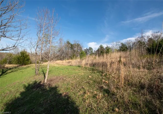 Homes for sale in Yanceyville, NC | Lot 38 Lake Shore Dr, Yanceyville, NC 27379 | MLS# 1218932
