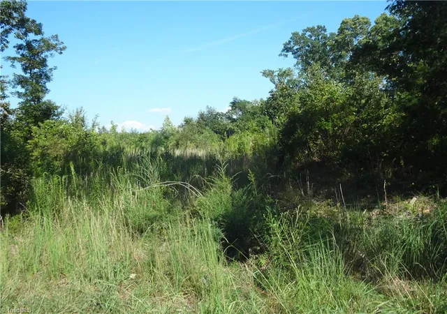 Photo 3 of Land for sale at 0 Garner Rd, Denton, NC 27239 | MLS# 1234002 | Listing updated on 2026-08-31