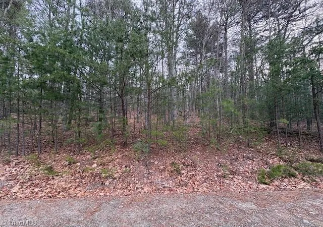 Homes for sale in Mc Grady, NC | Tbd Sutters Ridge Rd, Mc Grady, NC 28649 | MLS# 1212668