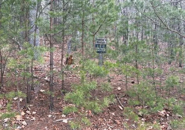 Homes for sale in Mc Grady, NC | Tbd Sutters Ridge Rd, Mc Grady, NC 28649 | MLS# 1212668