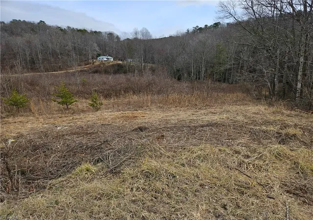 3rd image of 0000 Blue Hollow Rd #27, Mount Airy, NC 27030 | MLS# 1176021