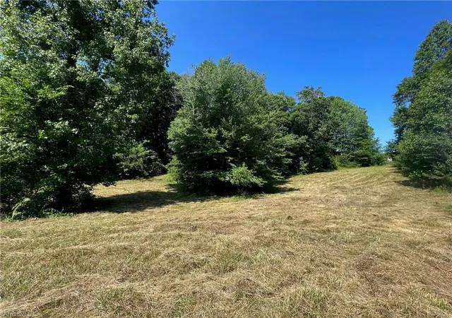 4th image of 621 Green Pasture Ln, Ruffin, NC 27326 | MLS# 1231826