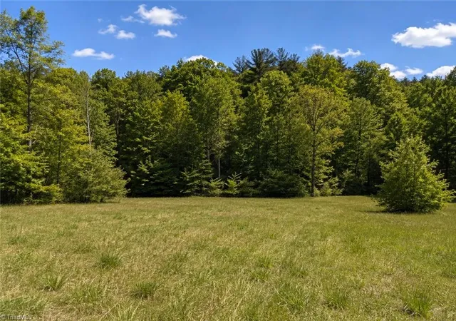 Homes for sale in Roaring River, NC | 8186 Old 60, Roaring River, NC 28669 | MLS# 1222245