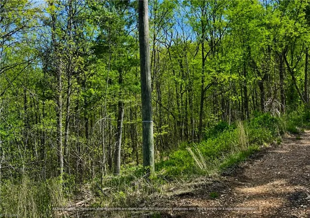 3rd image of 000-000 Big Rock Ln #Lots 8, 9 and 10, Lowgap, NC 27024 | MLS# 1230389