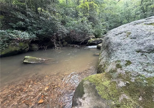 Photo 3 of Land for sale at 0000 N Old Nc Hwy 16, Millers Creek, NC 28651 | MLS# 1229273 | Listing updated on 2026-08-23