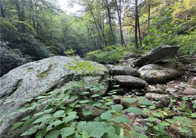 Photo 4 of Land for sale at 0000 N Old Nc Hwy 16, Millers Creek, NC 28651 | MLS# 1229273 | Listing updated on 2026-08-23