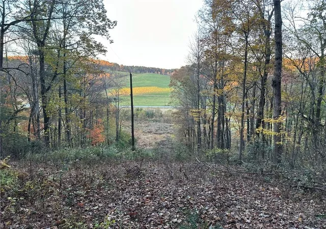 Photo 1 of Land for sale at 00 Balls Ml Rd, North Wilkesboro, NC 28659 | MLS# 1230856 | Listing updated on 2026-09-03