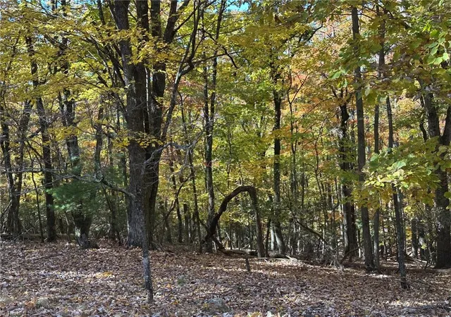 Photo 3 of Land for sale at 00 Balls Ml Rd, North Wilkesboro, NC 28659 | MLS# 1230856 | Listing updated on 2026-09-03