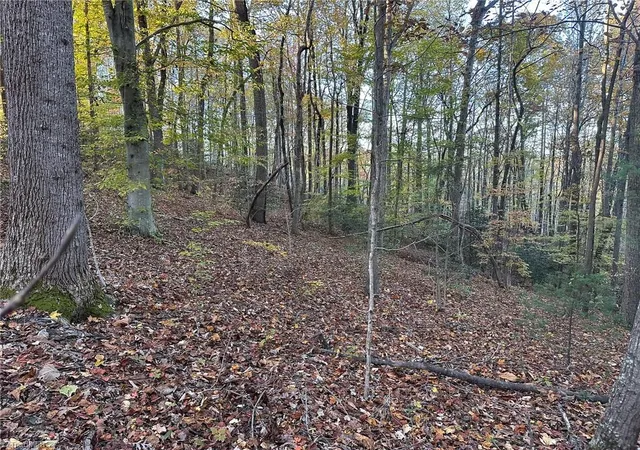 Photo 4 of Land for sale at 00 Balls Ml Rd, North Wilkesboro, NC 28659 | MLS# 1230856 | Listing updated on 2026-09-03