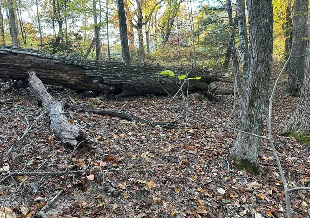 Photo 5 of Land for sale at 00 Balls Ml Rd, North Wilkesboro, NC 28659 | MLS# 1230856 | Listing updated on 2026-09-03