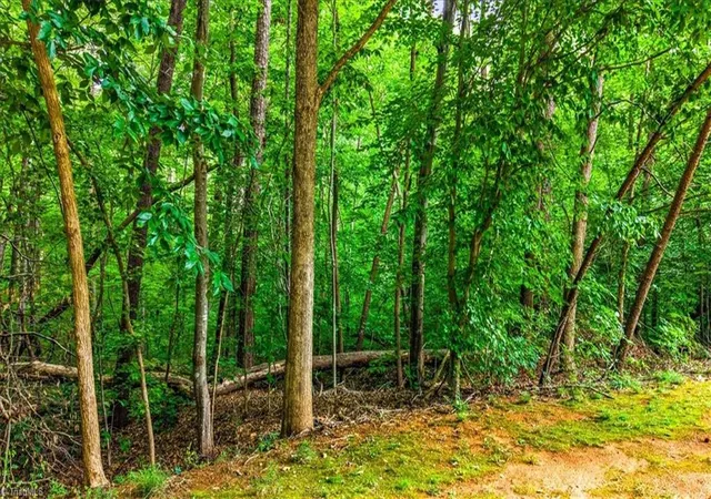 2nd image of 8002 Chatsworth Ct, Browns Summit, NC 27214 | MLS# 1227462