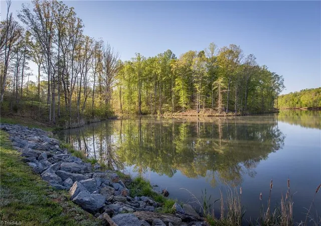 Photo 3 of Sale Pending at 9658 Lissara Camp Ct, Lewisville, NC 27023 | MLS# 1148949 | Listing updated on 2025-04-07