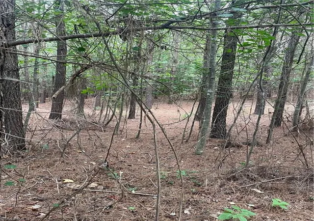 3rd image of 0 S Stokes School Rd, Walnut Cove, NC 27052 | MLS# 1229228