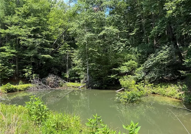 Photo 2 of Land for sale at Tbd Staghorn Rd, Purlear, NC 28665 | MLS# 1208300 | Listing updated on 2026-02-04