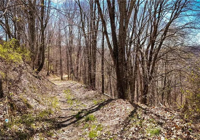Photo 4 of Land for sale at 7277 Beech Mountain Rd, Elk Park, NC 28622 | MLS# 1216196 | Listing updated on 2026-07-29