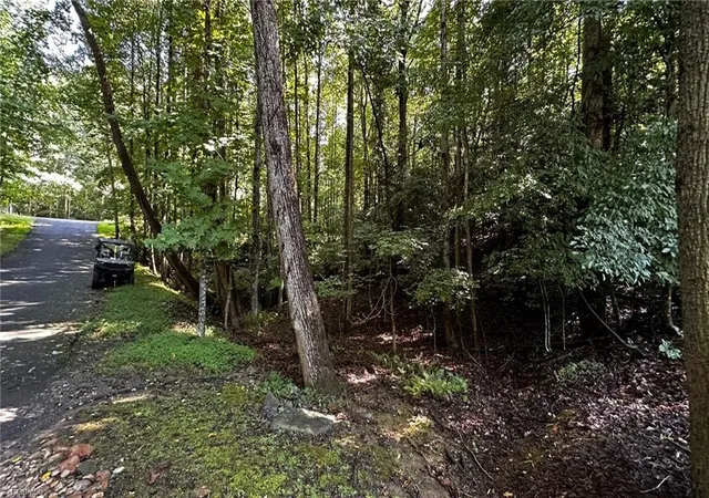 Homes for sale in Wilkesboro, NC | 00c Higgins Rd, Wilkesboro, NC 28697 | MLS# 1227139