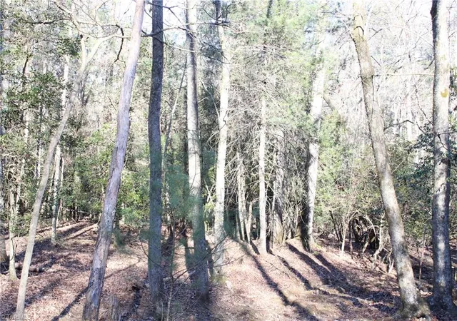 Homes for sale in Thurmond, NC | 468 Sylvan Rd, Thurmond, NC 28683 | MLS# 1189783