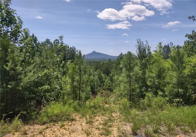 1st image of 0 Pine Tree Dr, Pinnacle, NC 27043 | MLS# 1229652