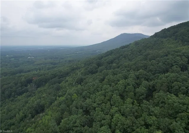 2nd image of 0 Pine Tree Dr, Pinnacle, NC 27043 | MLS# 1229652