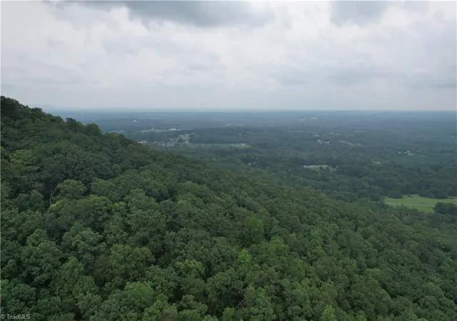 3rd image of 0 Pine Tree Dr, Pinnacle, NC 27043 | MLS# 1229652