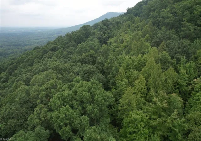 4th image of 0 Pine Tree Dr, Pinnacle, NC 27043 | MLS# 1229652