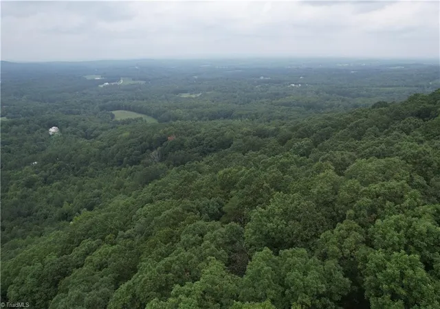 5th image of 0 Pine Tree Dr, Pinnacle, NC 27043 | MLS# 1229652