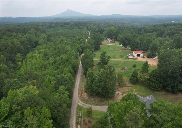 6th image of 0 Pine Tree Dr, Pinnacle, NC 27043 | MLS# 1229652