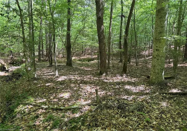 Homes for sale in Seagrove, NC | Lot 5 Woods Rd, Seagrove, NC 27341 | MLS# 1224575