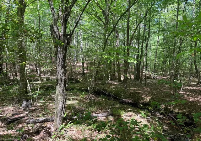 Homes for sale in Seagrove, NC | Lot 5 Woods Rd, Seagrove, NC 27341 | MLS# 1224575