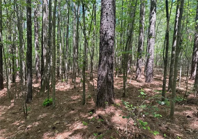 Homes for sale in Seagrove, NC | Lot 5 Woods Rd, Seagrove, NC 27341 | MLS# 1224575