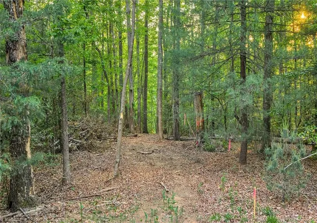 Homes for sale in Wilkesboro, NC | Tbd Nicole Ln, Wilkesboro, NC 28697 | MLS# 1223982