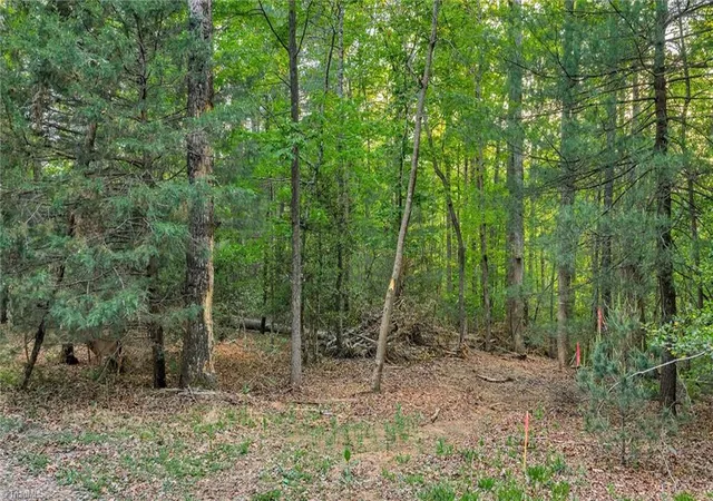 Homes for sale in Wilkesboro, NC | Tbd Nicole Ln, Wilkesboro, NC 28697 | MLS# 1223982